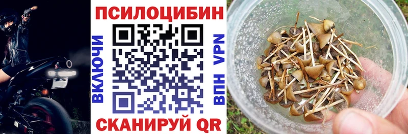 Псилоцибиновые грибы GOLDEN TEACHER  блэк спрут ссылки  Усолье 